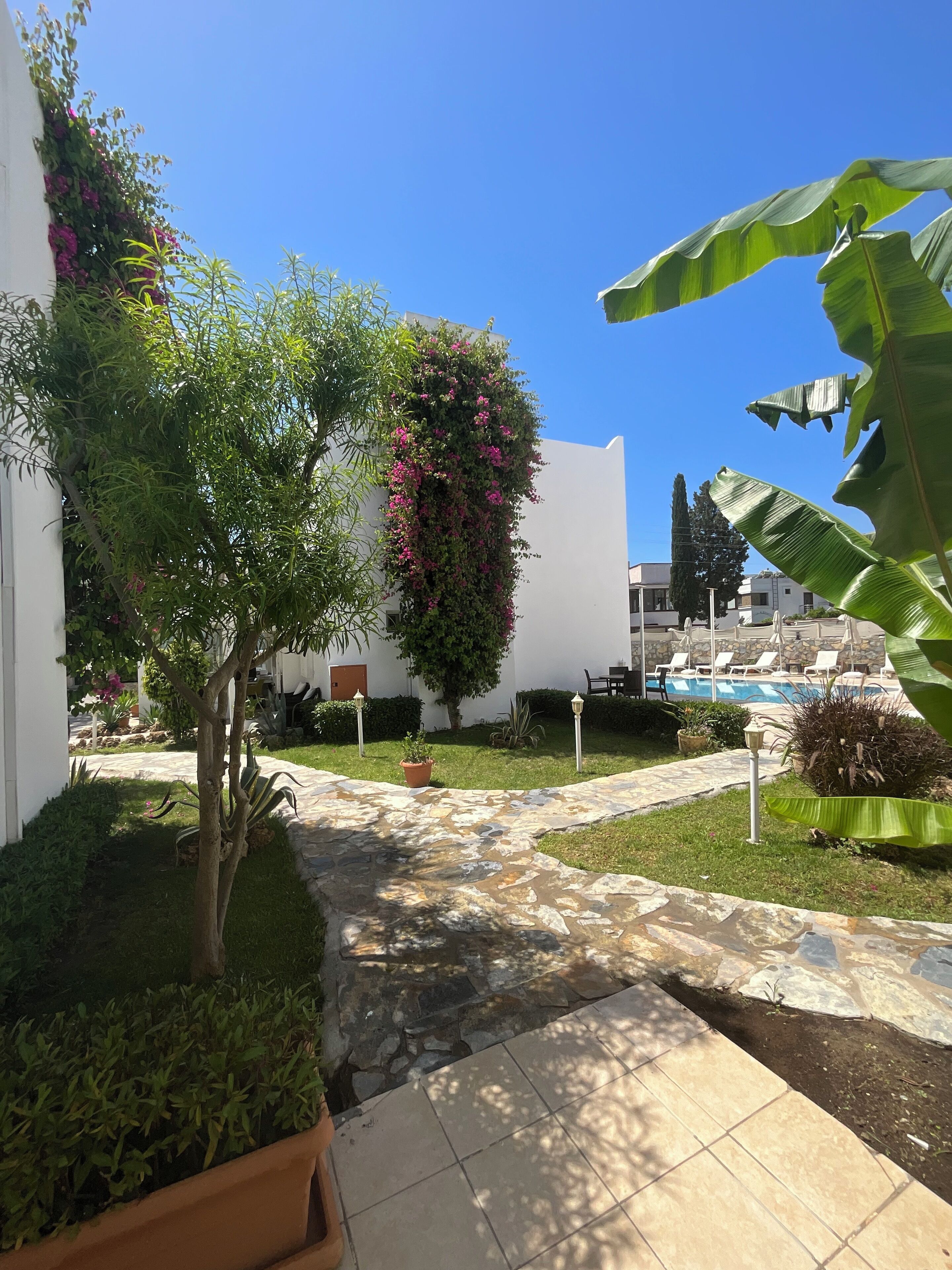 A courtyard with a stone pathway, potted plants, a pool, and a white building.