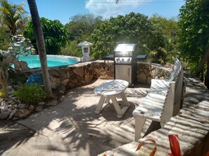 An outdoor patio with a stone wall, a pool, and a grill. - Ocean Views, Private Pool, and Lush Botanical Garden  (Governor's Harbour)