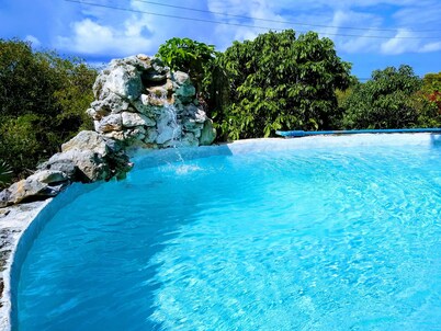 Ocean Views, Private Pool, and Lush Botanical Garden 