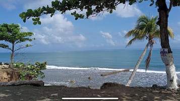 Nära stranden