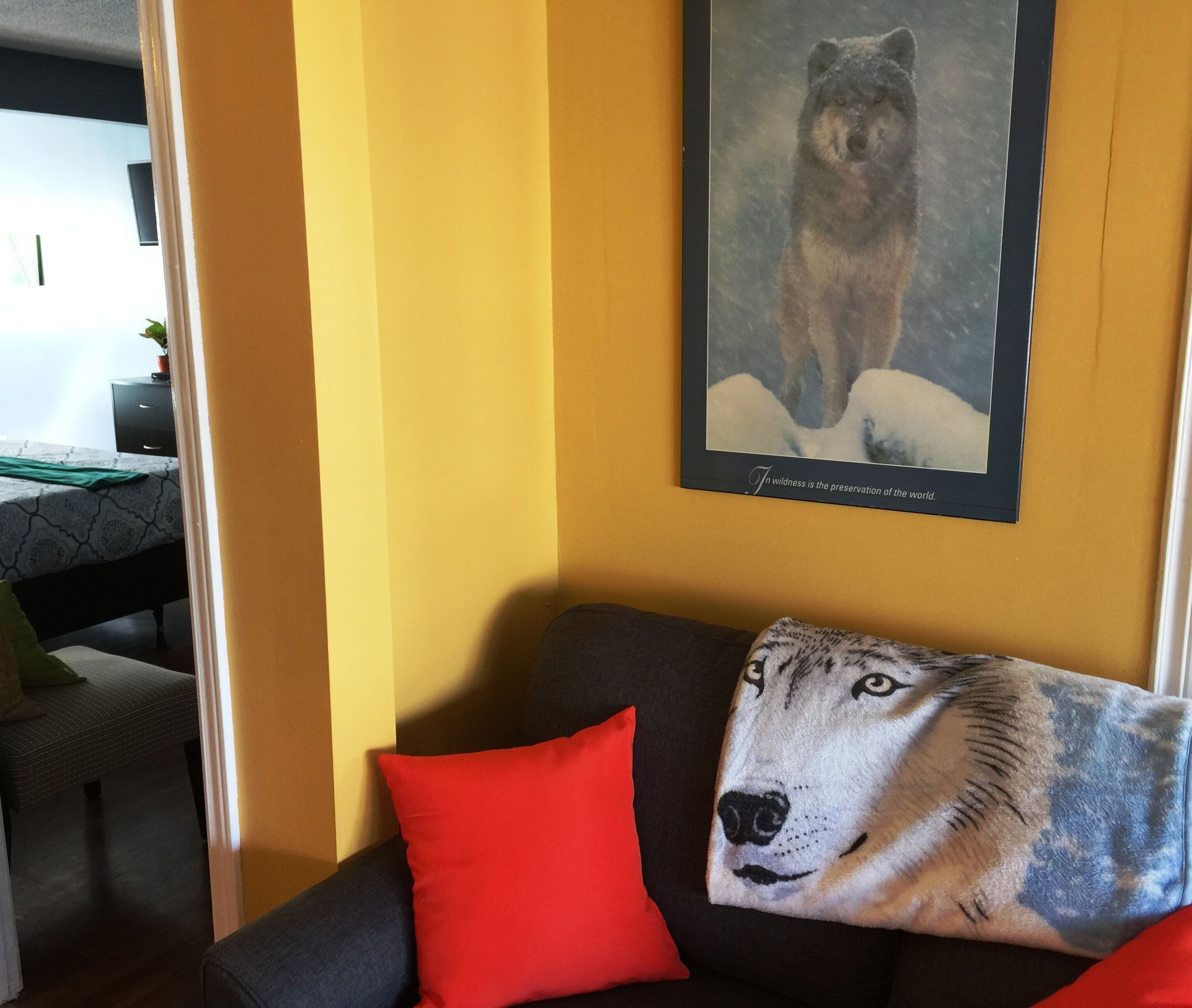 A room with a yellow wall, a dark sofa with a red pillow, and a framed picture of a wolf on the wall.