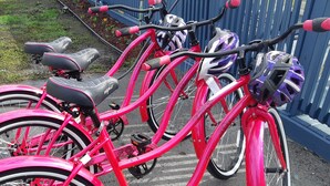 Roze fietsen staan op een rij langs een blauwe hek.