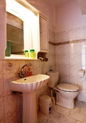 Shower, hair dryer, bidet, towels - Annita Studios (Karpathos)