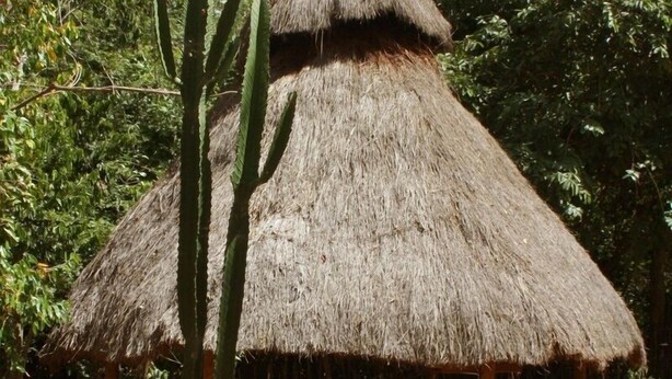 A thatched-roof hut with a simple structure, surrounded by natural vegetation. - Ngerengere River Eco camp (Ubena Bwawani)
