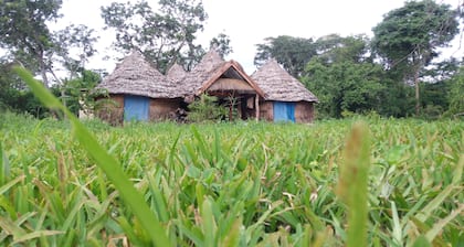 Ngerengere River Eco camp