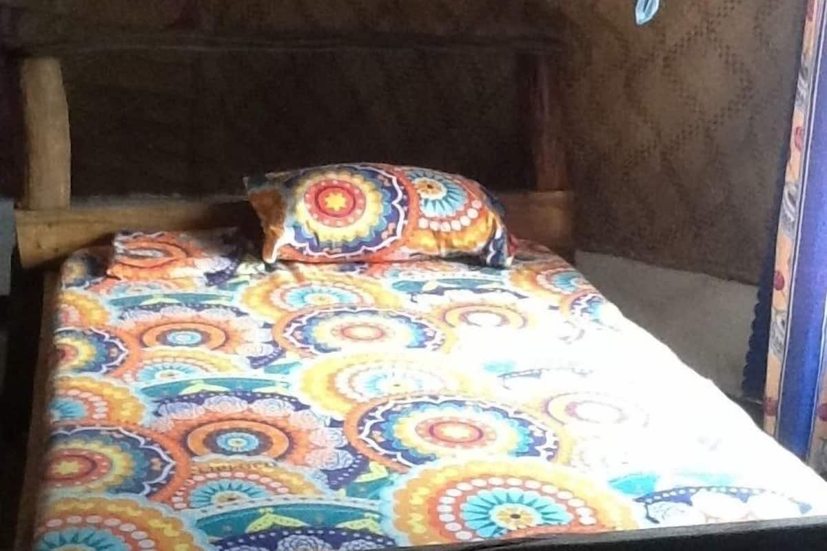 A single bed with a colorful patterned bedspread and a blue canopy.
