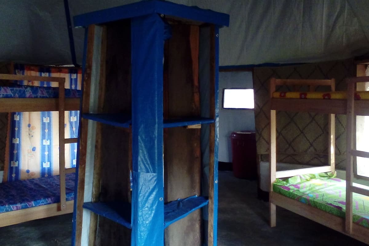 A dormitory room with bunk beds, a central blue ladder, and a window providing natural light.