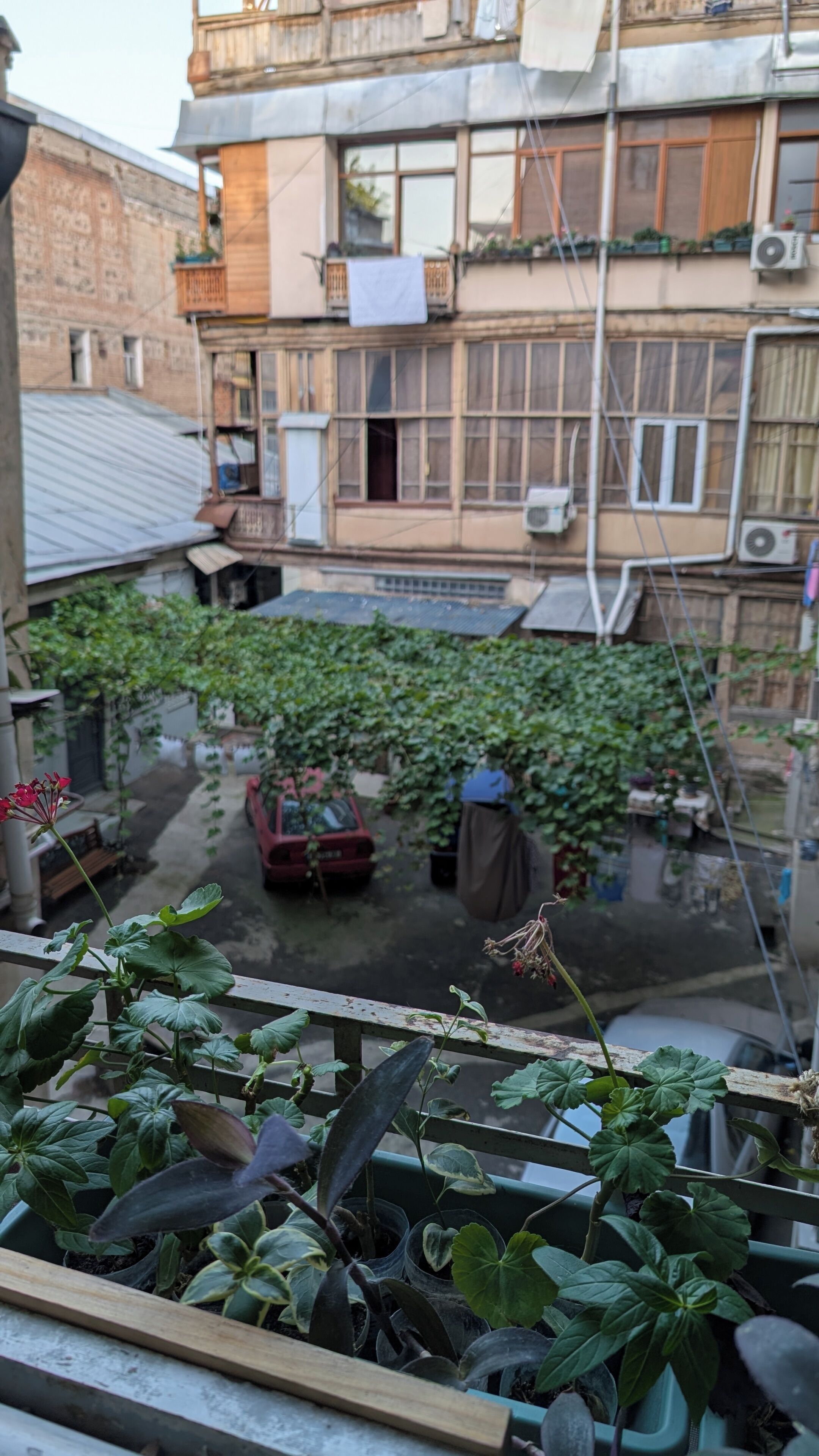 Foto - Moosica Hostel