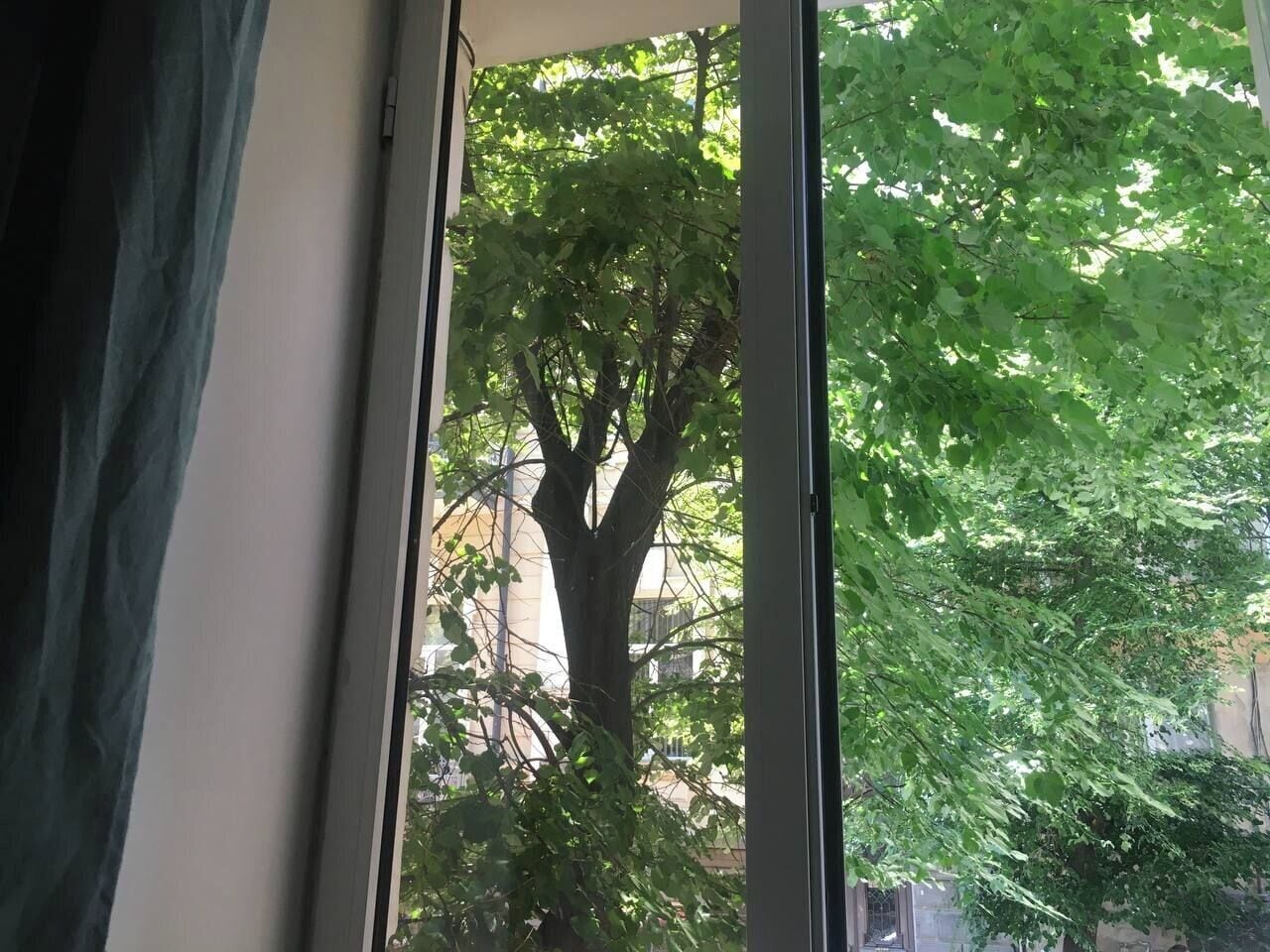 Bed in 10-Bed Shared Dormitory | Quang cảnh thành phố