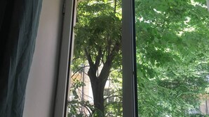 A window with a view of a tree and a building in the background. - Moosica Hostel (Tbilisi)