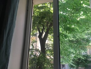 Bed in 10-Bed Shared Dormitory | City view