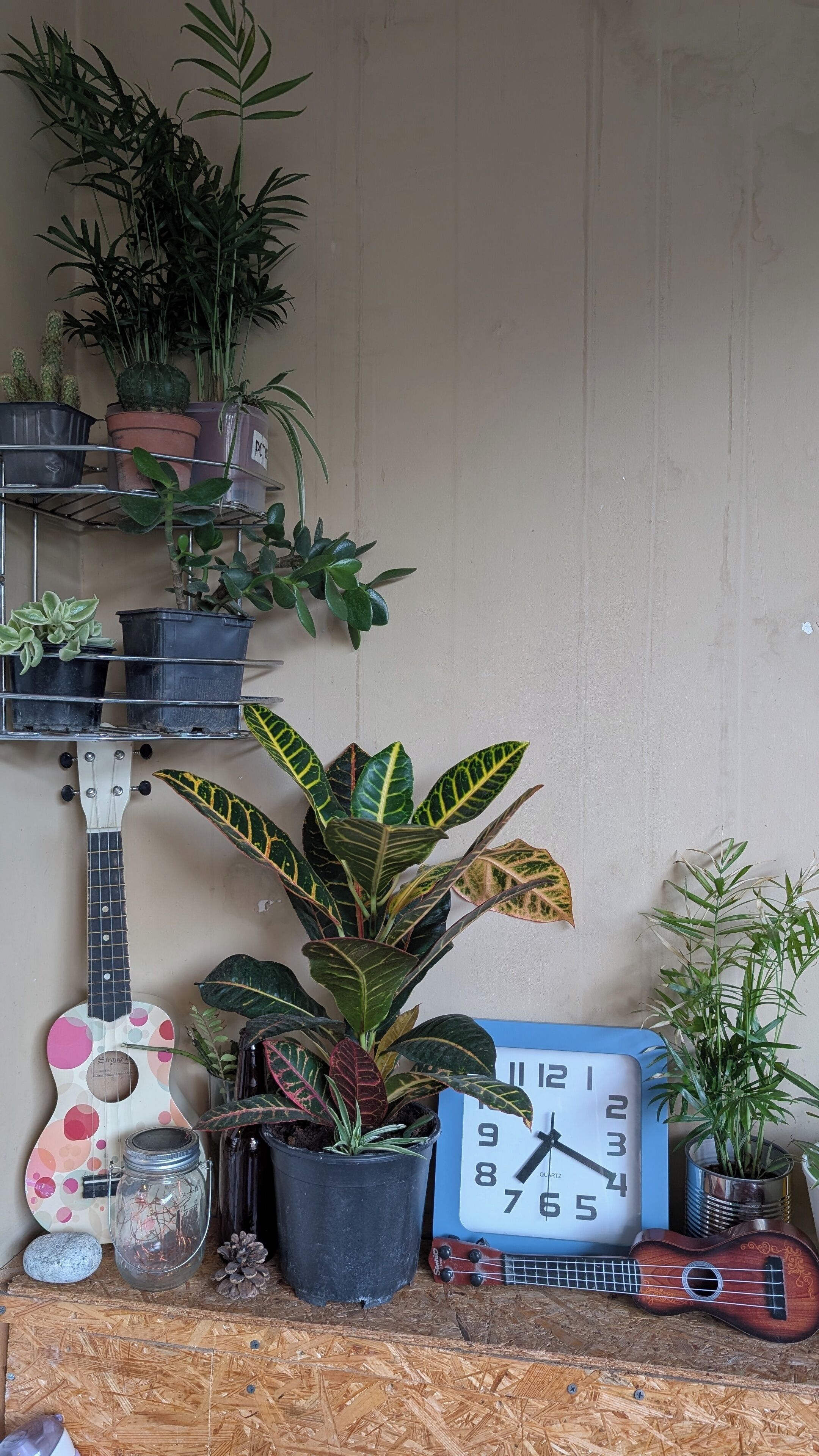 Una habitación con suelo de madera, un reloj en la pared, una guitarra y varias macetas con plantas.