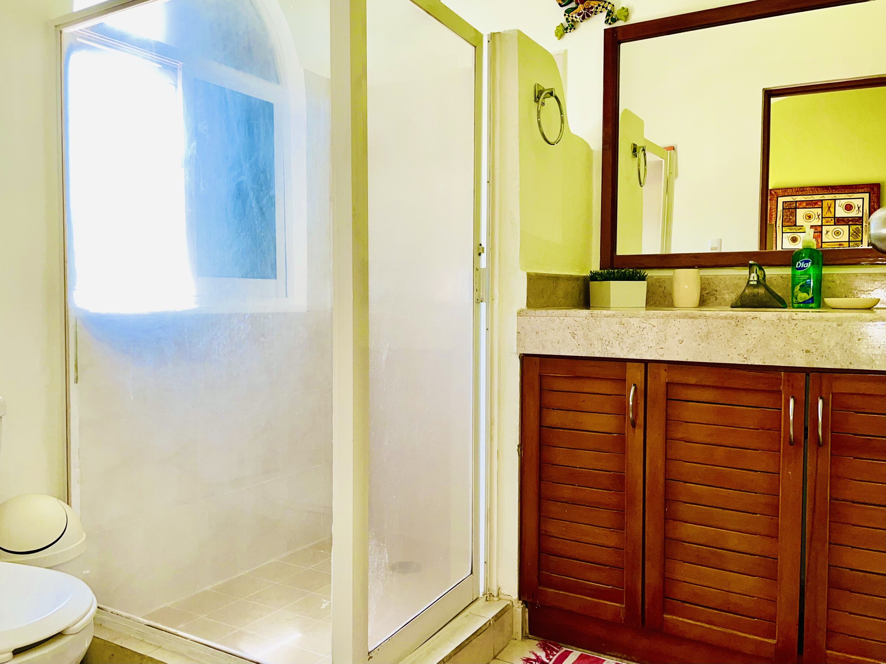 Un baño con ducha, inodoro y armarios de madera.