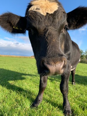 Blick von der Unterkunft