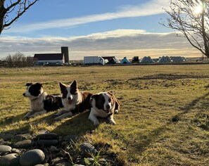 View from property - Farmer's Guest House (Rangárþing ytra)