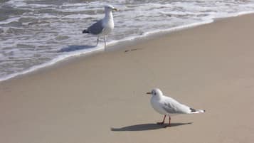 Plage à proximité