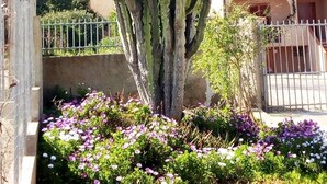 A large cactus in a garden with purple flowers and a building in the background. - Privacy & Relax in Sardegna (Alghero)