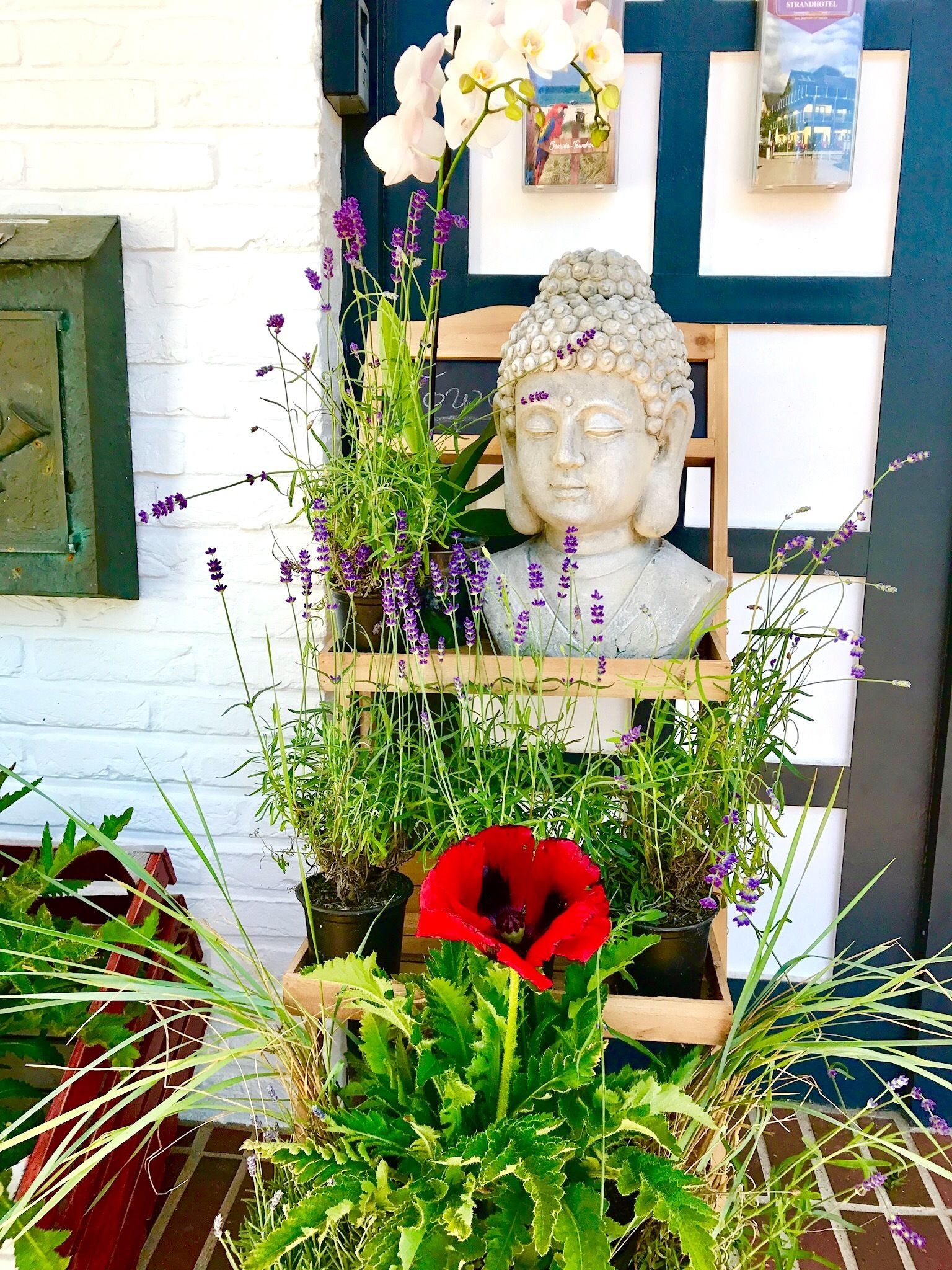 Une statue de Bouddha, entourée de différentes plantes en pot et de fleurs, notamment de la lavande et un coquelicot rouge, se dresse devant un mur de briques blanches orné de tableaux encadrés.