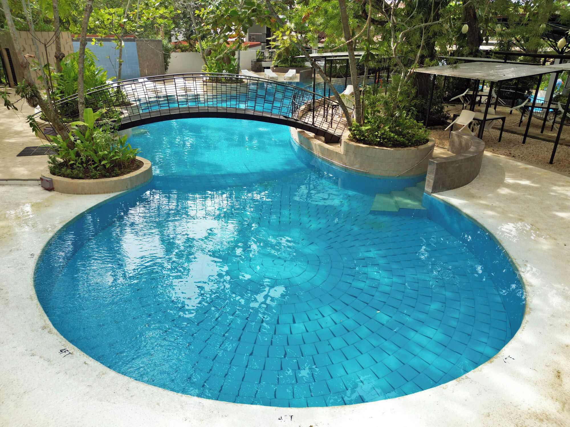 Una piscina circular con diseño de ladrillo, rodeada de plantas en macetas y una barandilla metálica.