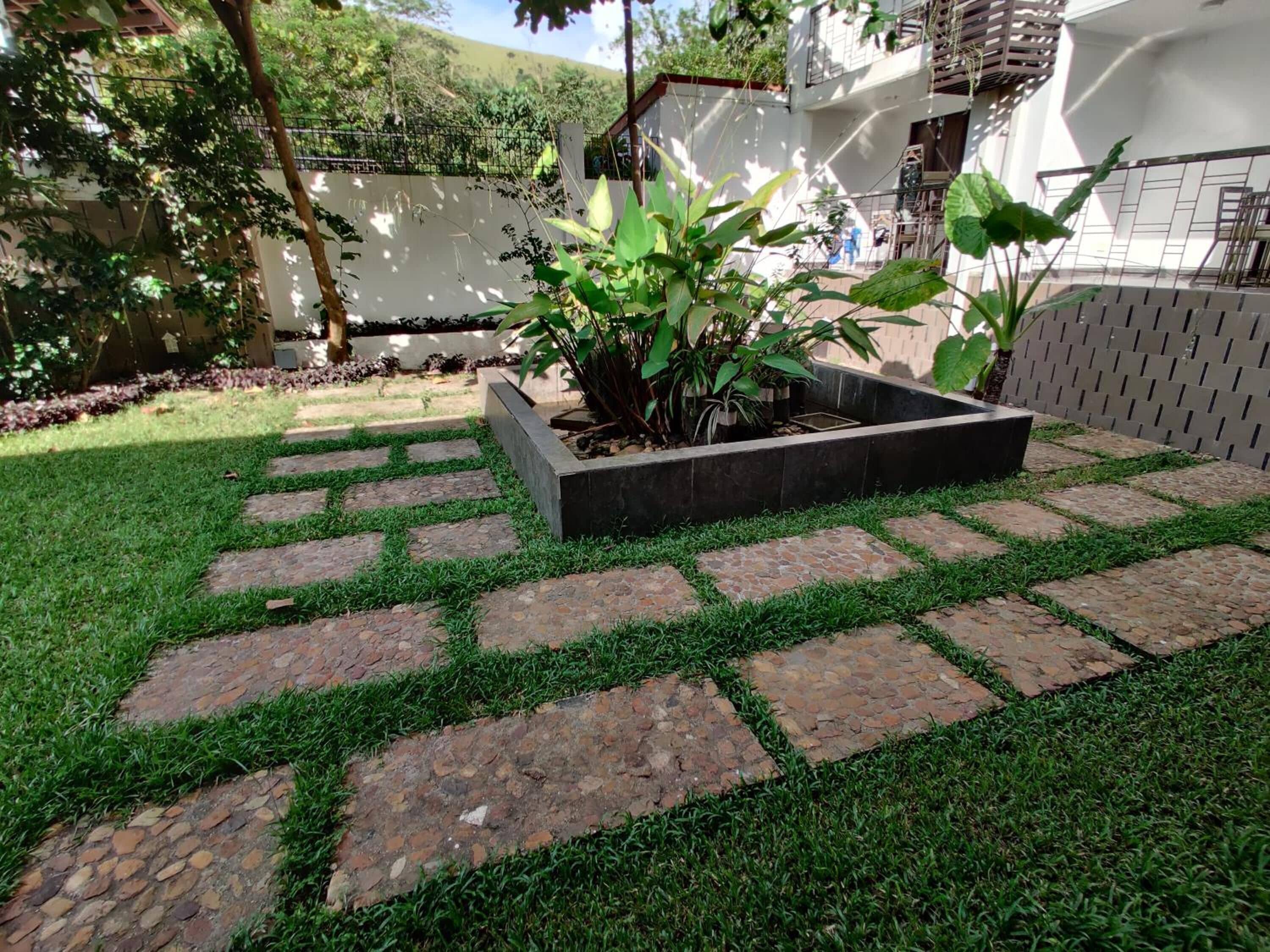A garden with a paved walkway, a raised planter with plants, and a white building in the background.