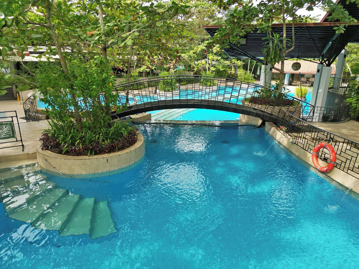 Una piscina con un puente, rodeada de vegetación y una zona techada.