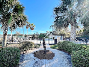 Stroll along the winding pathway to a secluded seating area, surrounded by palm trees and a metal fence.