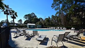 Relax by the serene pool surrounded by lounge chairs and lush trees.