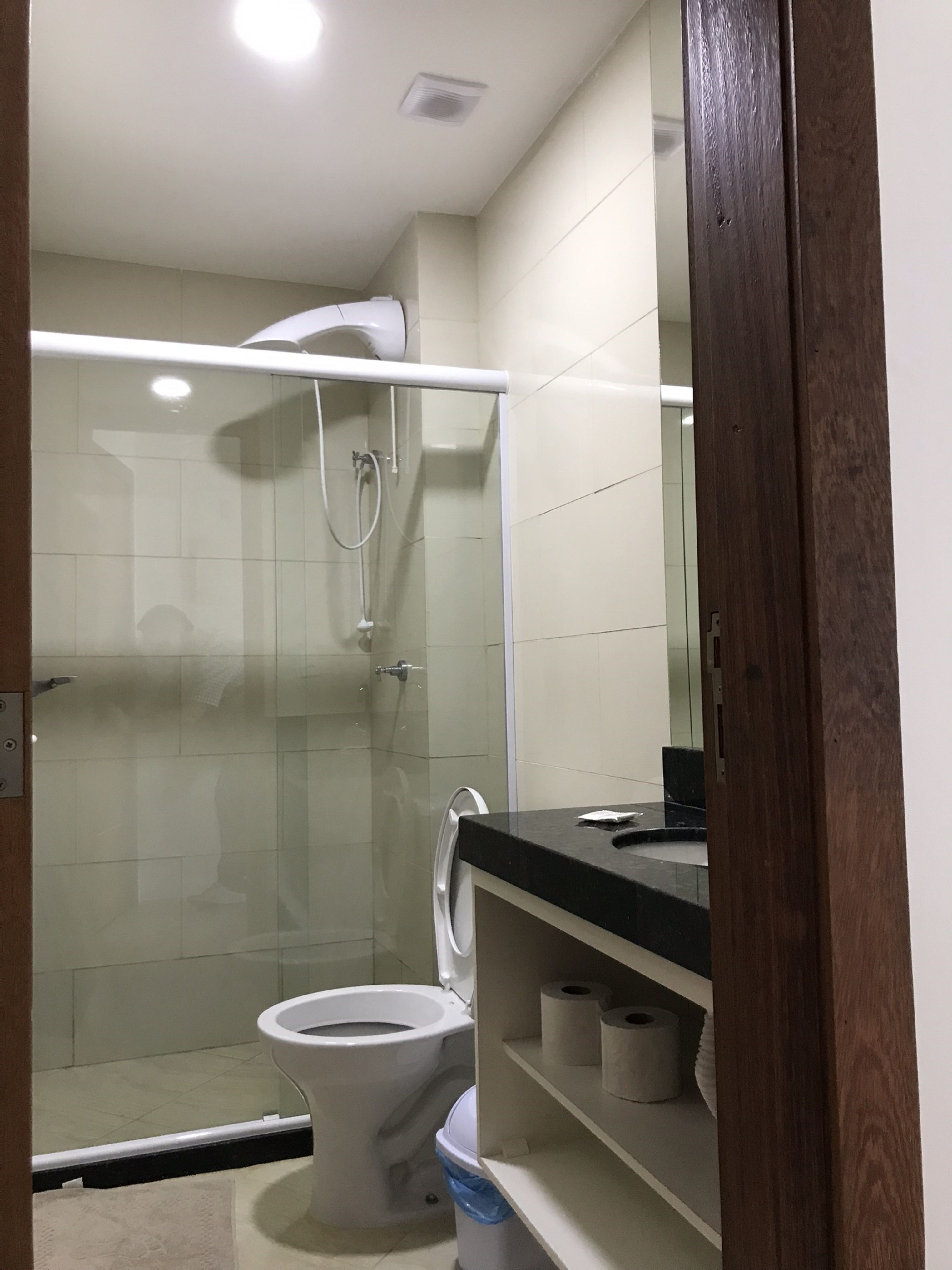 A bathroom with a glass-enclosed shower, a toilet, and a shelf with toilet paper.