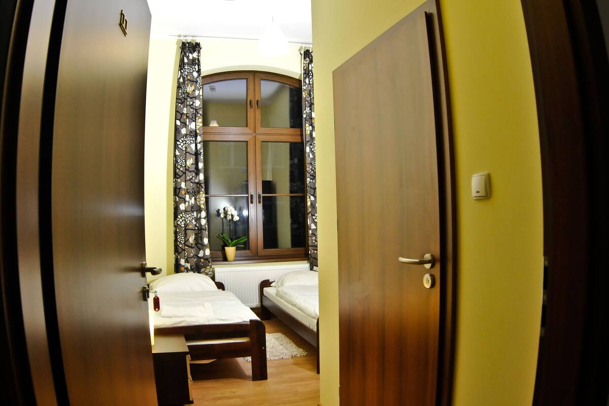 Habitación doble Confort, 2 camas individuales | Tabla de planchar con plancha, wifi gratis y ropa de cama
