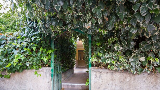 A narrow concrete pathway leading through a green metal gate, surrounded by dense foliage. - Apartment Signorina Leticija (Split)