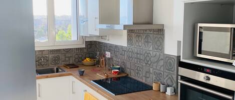 Fridge, microwave, oven, stovetop