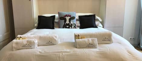 1 chambre, bureau, fer et planche à repasser, lit parapluie