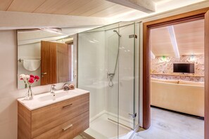Shower, hair dryer, towels