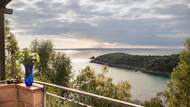 A balcony with a view of a coastal landscape, a blue vase with flowers, and a railing.
