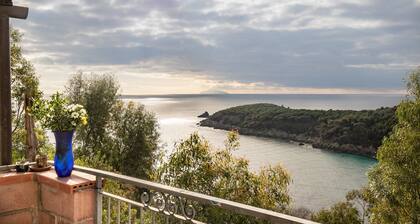 Cottage avec Wi-Fi, terrasse vue mer, animaux admis