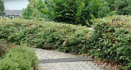 Ferienhof Feinen - Haus am See II