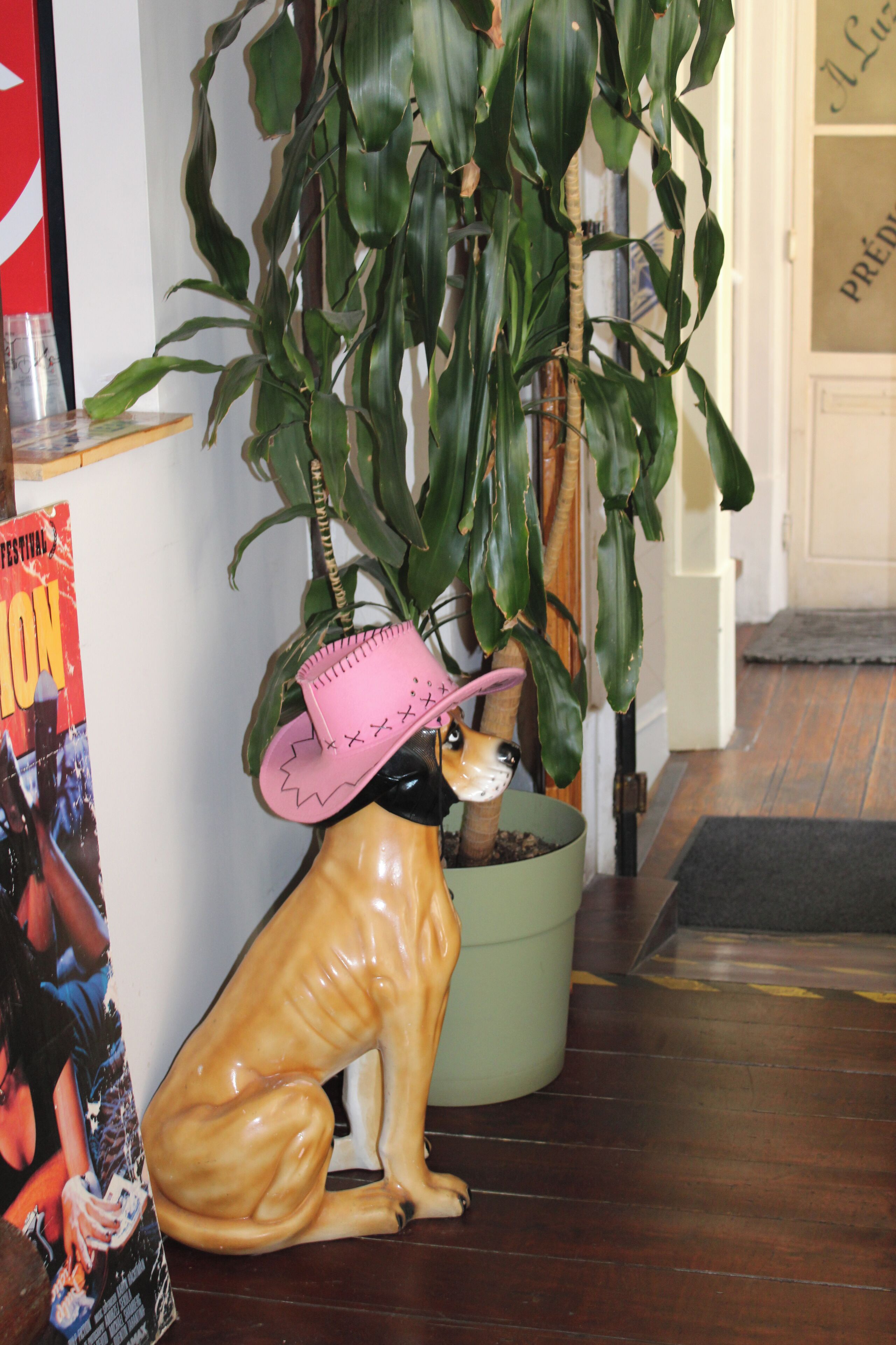 Photo - Rossio Hostel