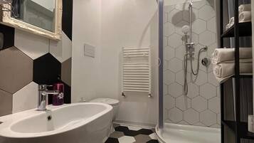 Shower, hair dryer, bidet, towels