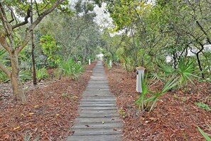 House | Property grounds