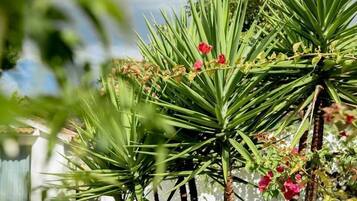 Detall de l'exterior