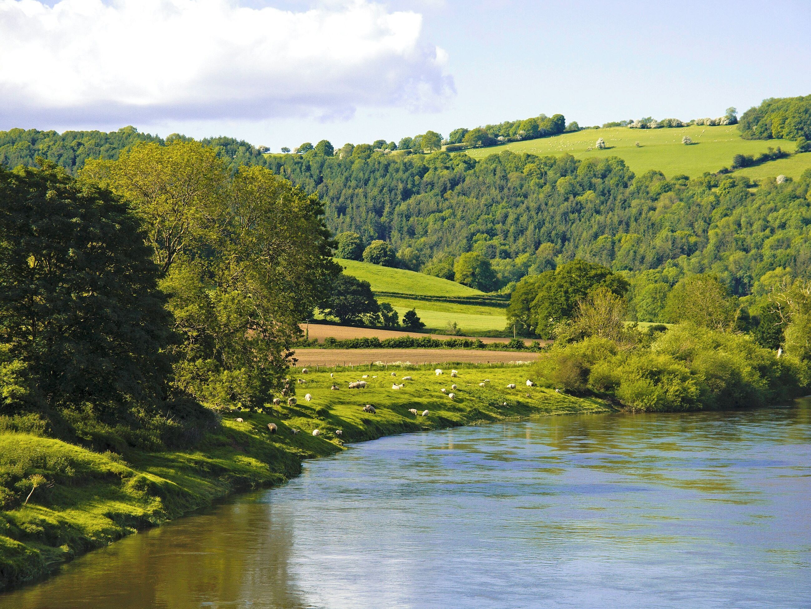 A river flowing through a lush green valley with rolling hills and scattered trees.