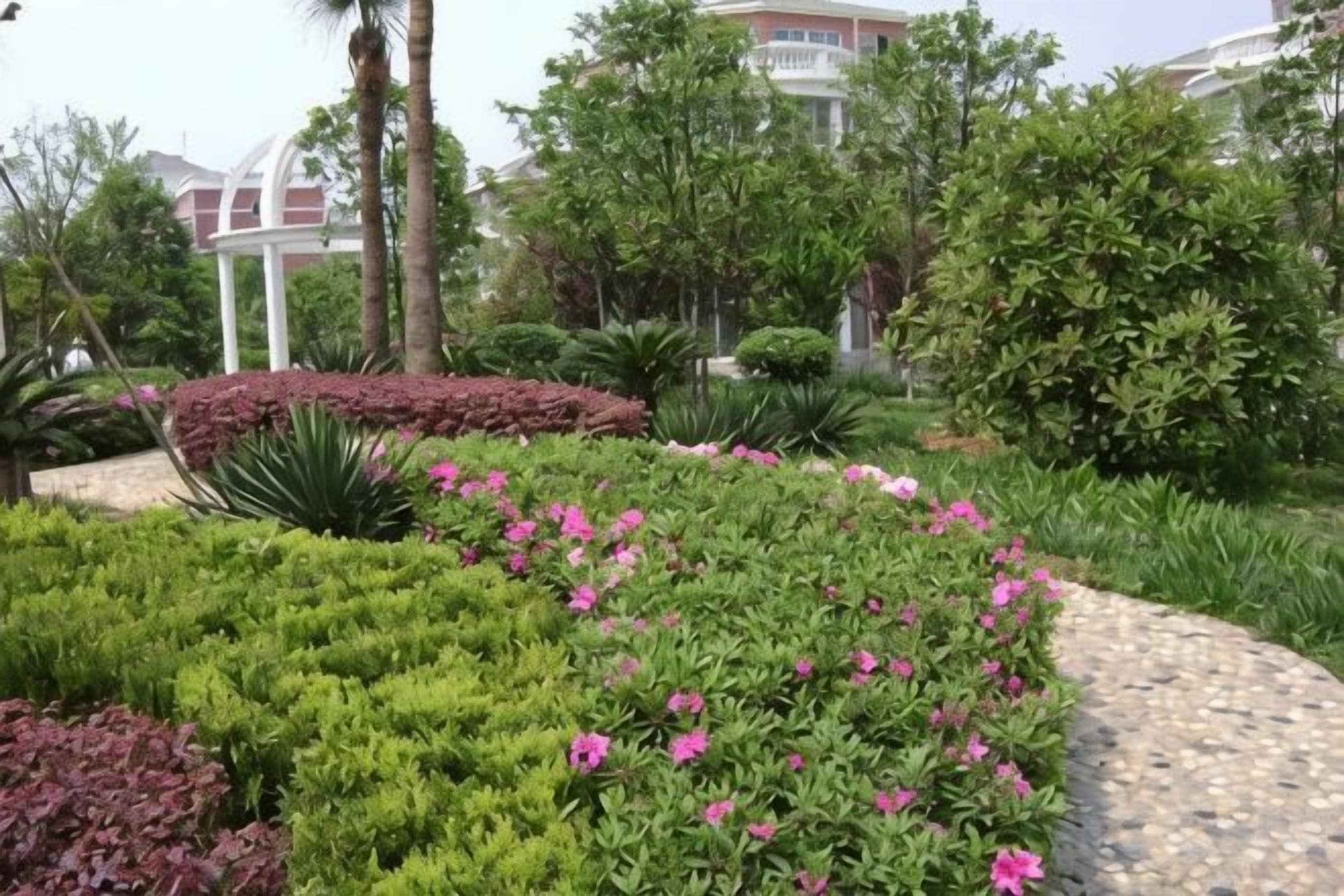A landscaped garden with various plants and a pathway.