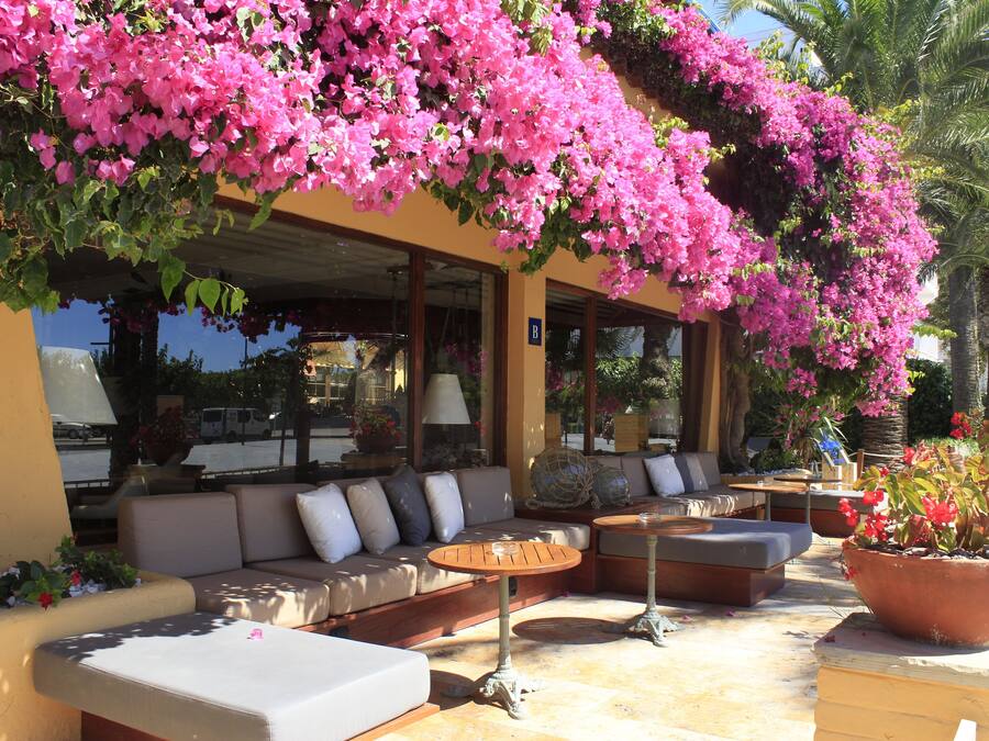 Un área de estar al aire libre con un sofá y dos mesas, rodeada de plantas en macetas y una pérgola con flores rosadas.