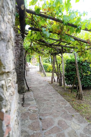Property grounds - Idyllic Tuscan Villa with Stunning Views, Pool and Easy Access to Historic Towns (Bagni di Lucca)