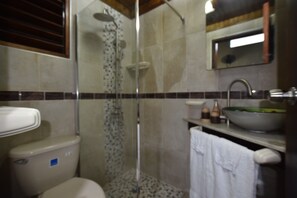 Regadera, toallas, papel de baño 