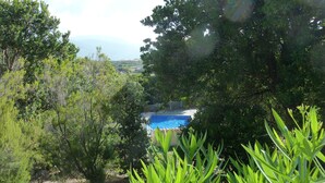 Une piscine entourée d’une végétation luxuriante et d’arbres, offrant une vue dégagée sur le ciel et le paysage lointain.