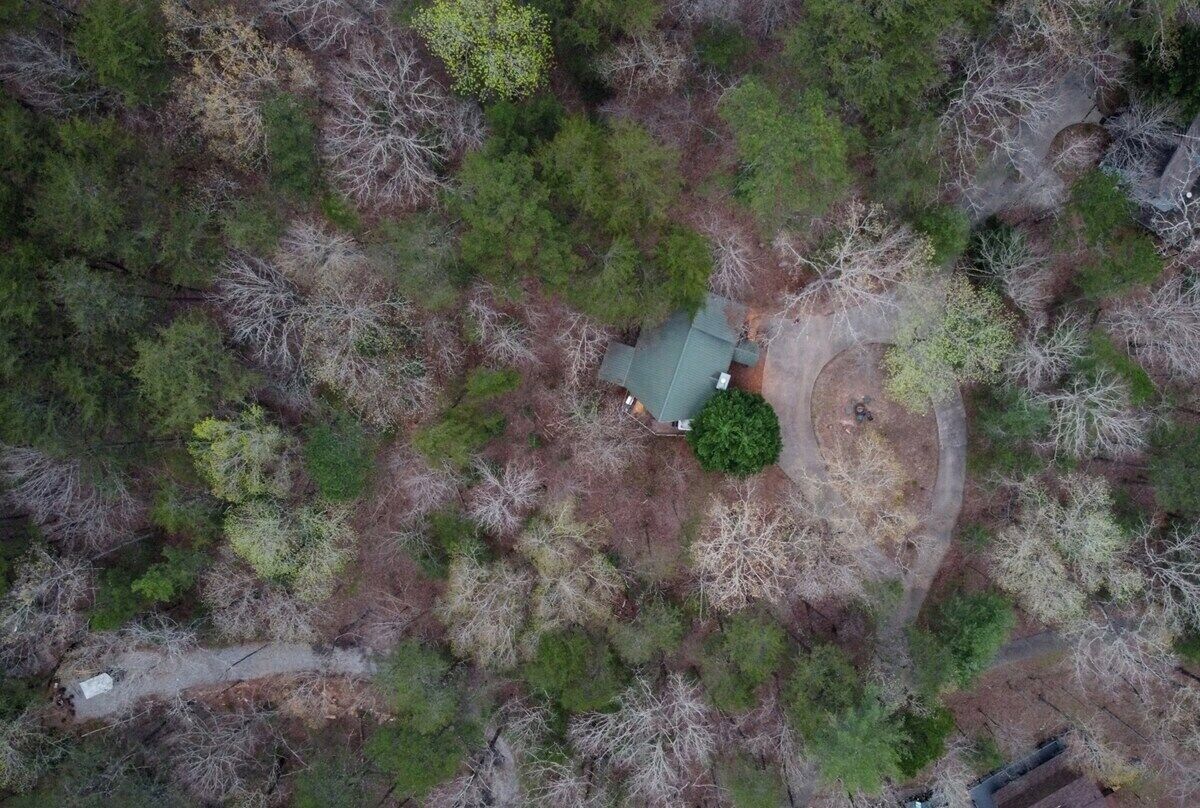An aerial view of a forested area with a single building, surrounded by dense trees and a winding path.
