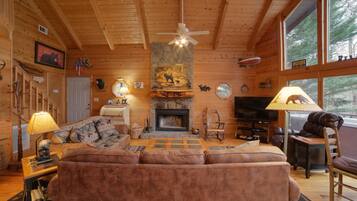 TV connectée, cheminée, lecteur de DVD, livres