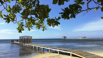 Dock