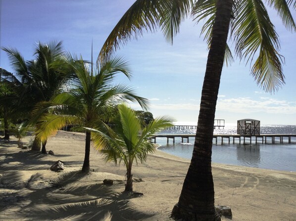 Beach nearby - Little Dolphin (Roatan)